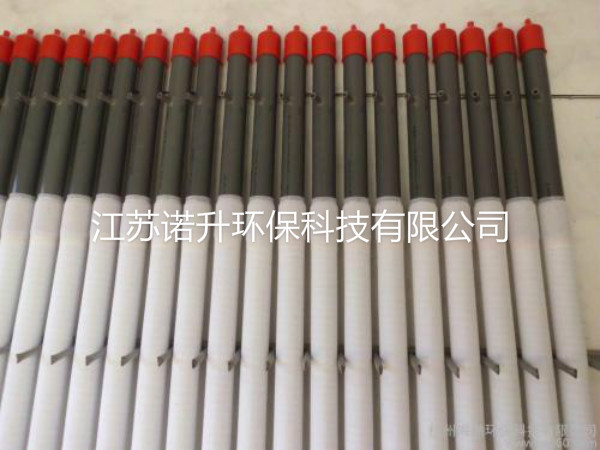 1591751280665821.jpg 2.jpg